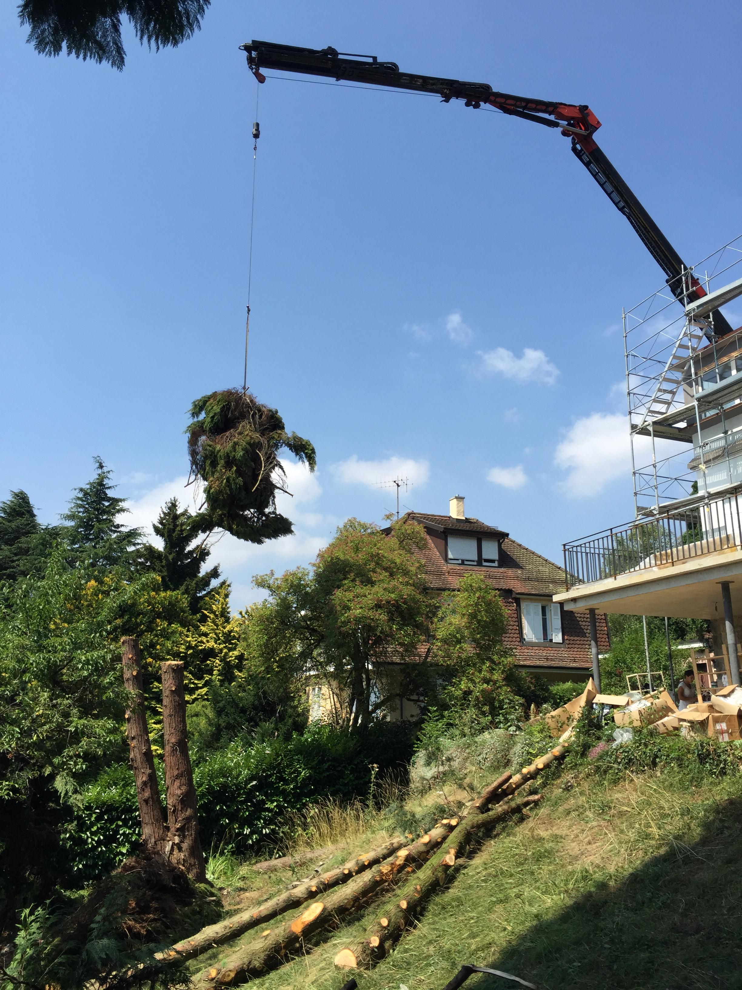 Évacuation de déchets verts par camion grue dans le Jura — SAS POLYVIER